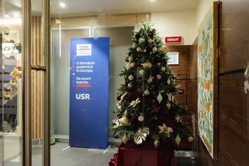 Cum au trecut Elena Lasconi și liderii USR prin noaptea cea lungă, când te culci cu un electorat și te trezești cu altul