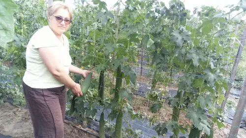 Mihaela Arion, afacere cu bureți lufa (foto Facebook Bureti Naturali)