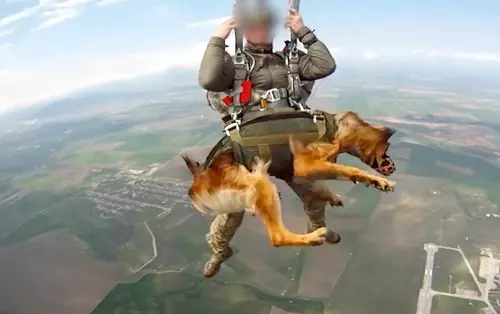 Putin’s dogs of war parachute into ​battle zones in latest Russian military tests