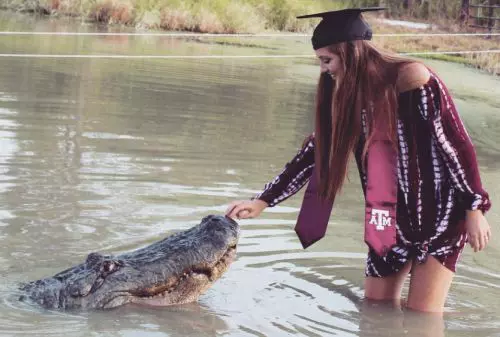 aligator