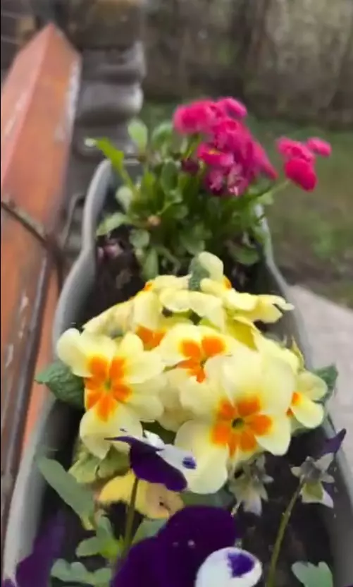 casa andreea marin telega prahova 10