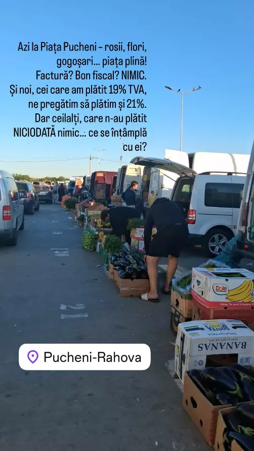 diana sucu piata pucheni rahova