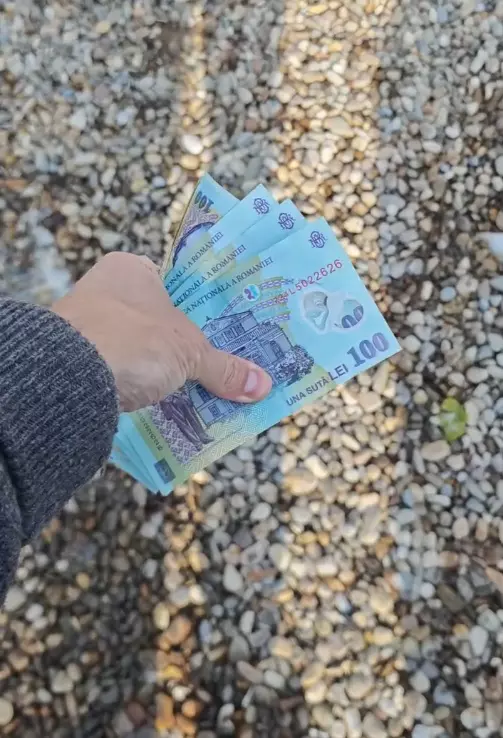 dani otil bani parcare