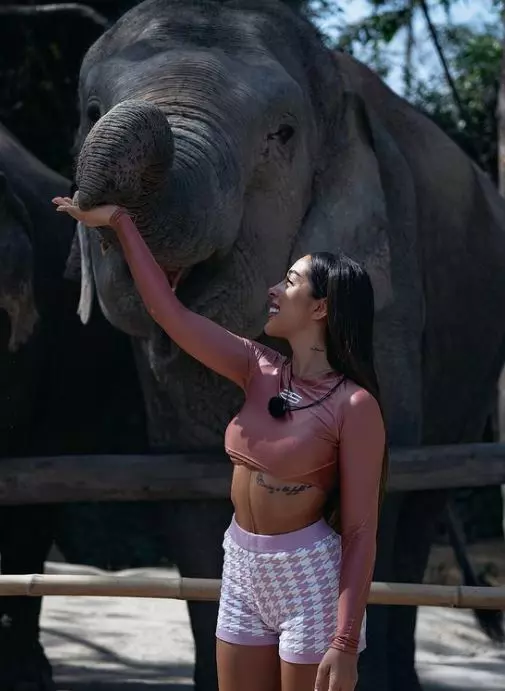 cristina-stefania-elefanti-2