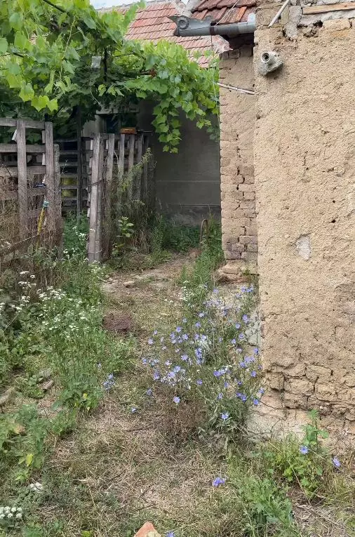 vladuta lupau curte bunici tara (5)