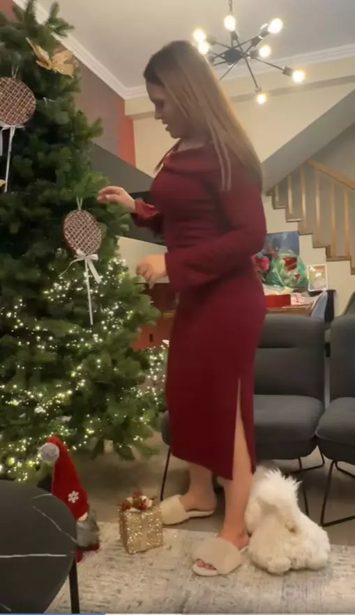 Cristina Șișcanu - imagini casă decorată de Crăciun (6)