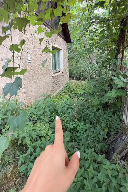 vladuta lupau curte bunici tara (4)