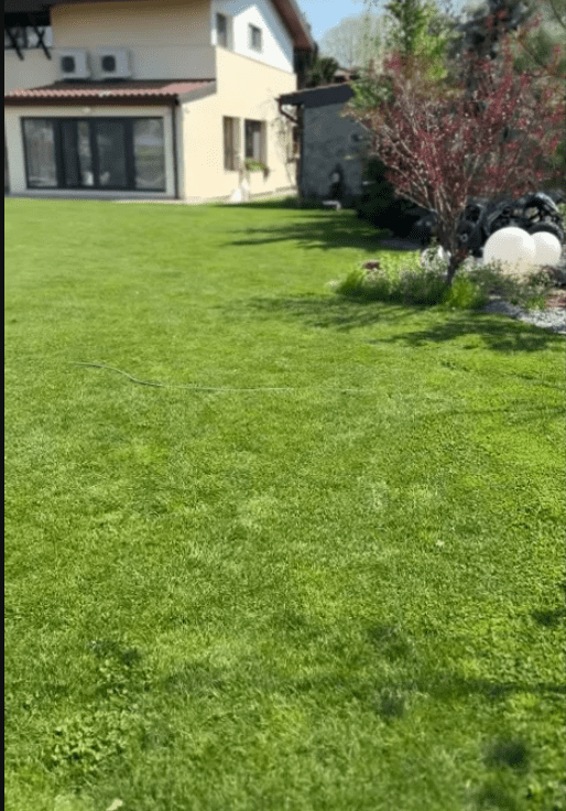 Andreea Banica gazon in curte