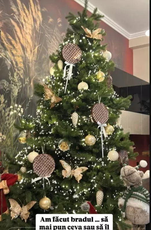 Cristina Șișcanu - imagini casă decorată de Crăciun (1)