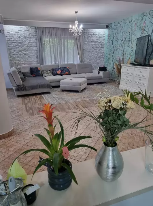 casa-oana-roman-4