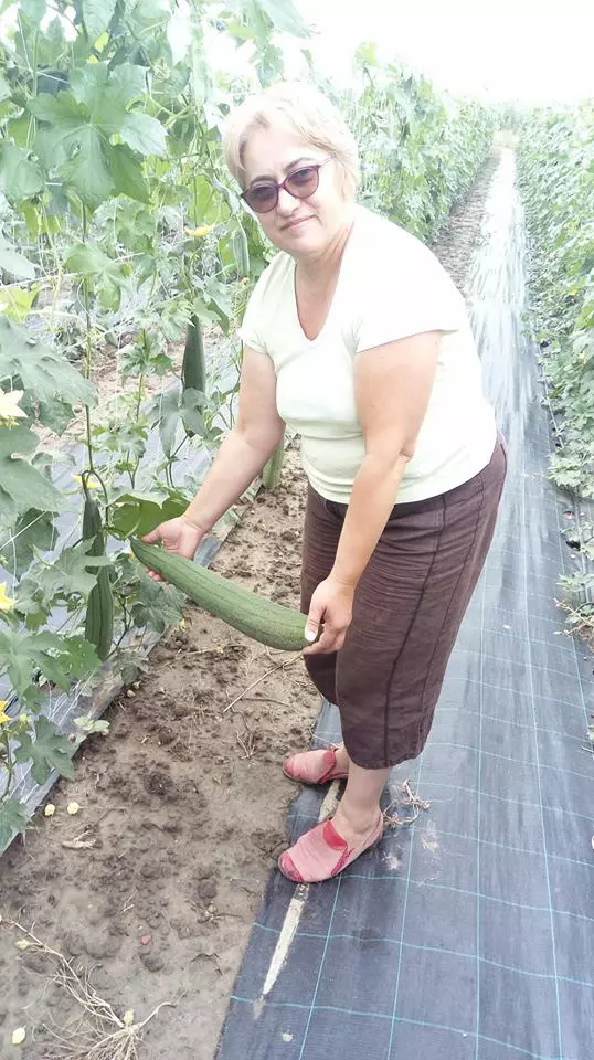 Mihaela Arion, afacere cu bureți lufa (foto Facebook Bureti Naturali)