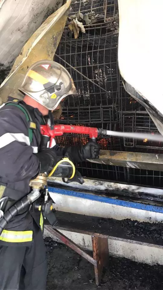 incendiu timis 5