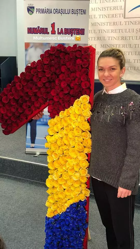 Simona Halep MTS 2017