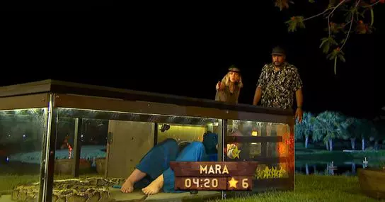 tarantula-pe-mana-mara-banica-1