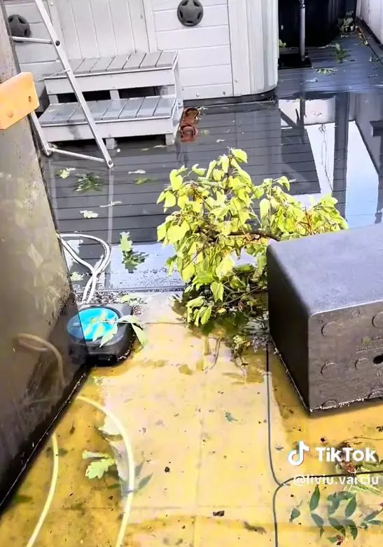 Furtuna a produs pagube în gospodăria lui Liviu Vârciu (1)