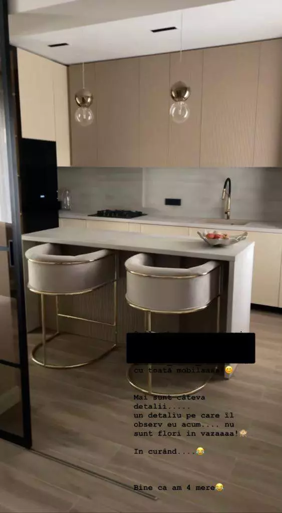 casa-claudia-patrascanu-2