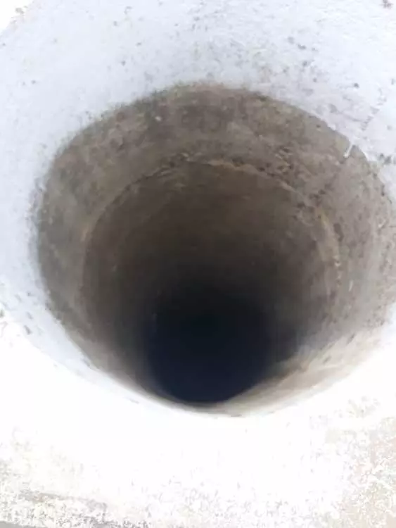 pisica 4