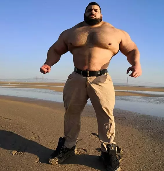 sajad1