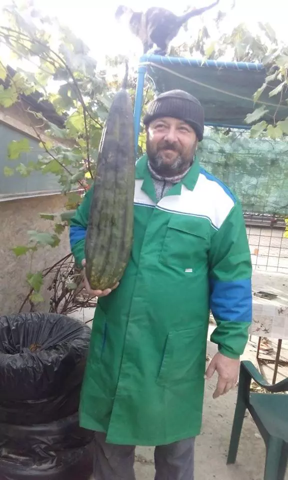 Soțul Mihaelei Arion, afacere cu bureți lufa (foto Facebook Bureti Naturali)