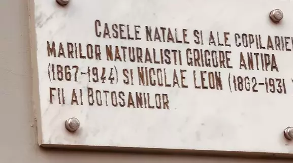 Dan Negru la Botosani 5