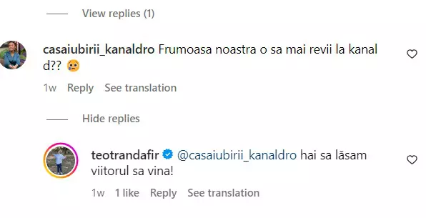 teo trandafir intrebare