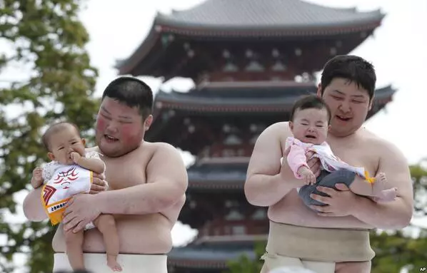 festival-sumo-twitter