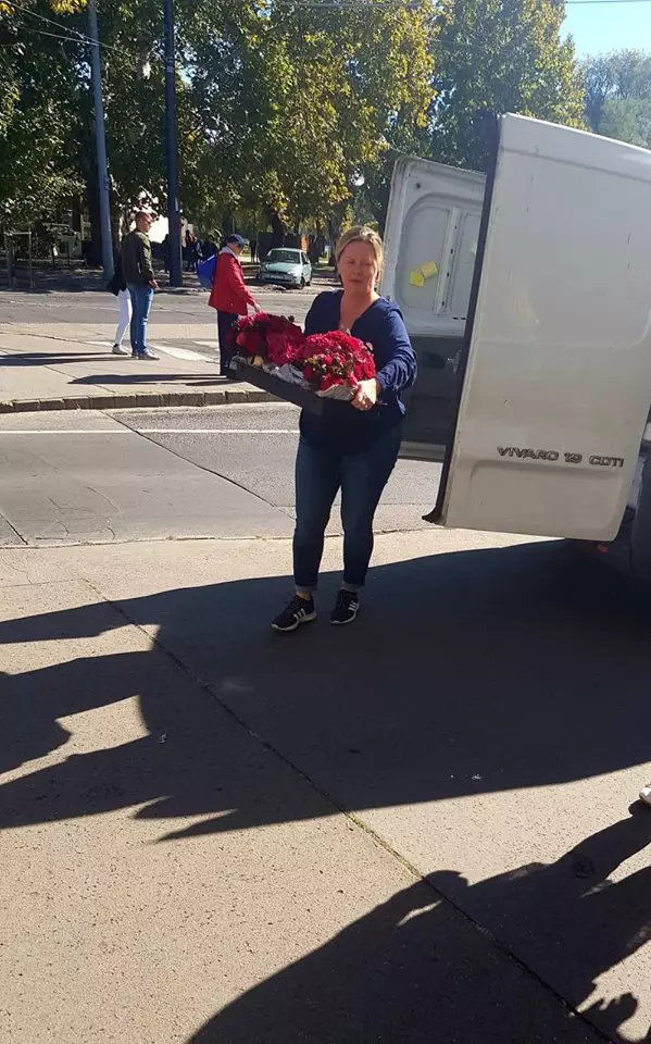 42761273_478278076007841_5691292139233738752_n