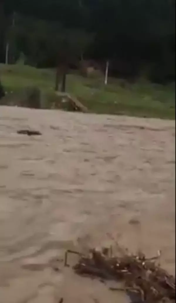 Un pod a fost distrus de viitură în zona Frasin-Moldovița (1)