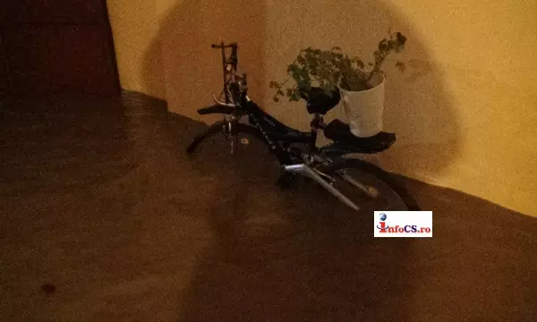 inundatii glimboca-caras-severin (4)