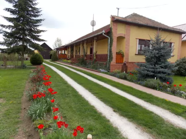petresti5