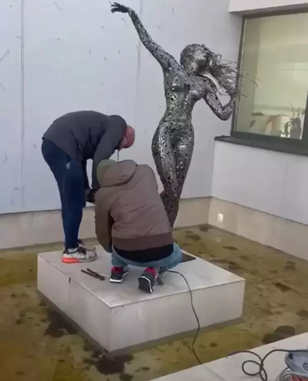 imagini casă Alina Pușcaș (4)