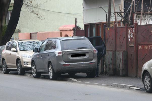 nicoleta-luciu-george__2_.JPG