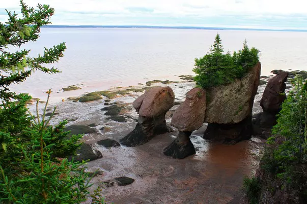 Bay_of_Fundy_shutterstock_58937665.jpg