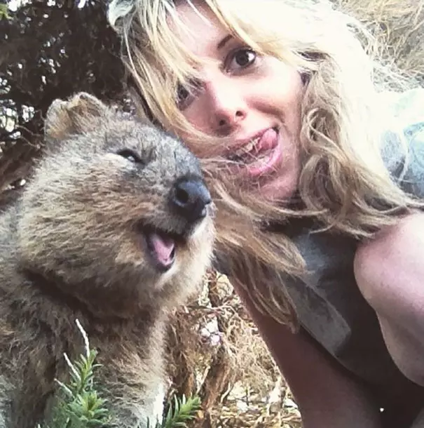 Selfie cu quokka