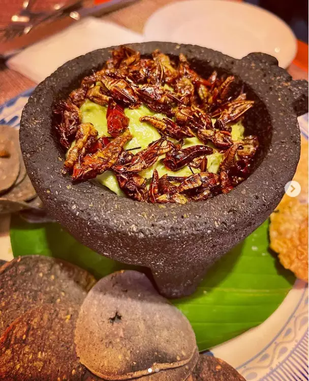 irina-fodor-mancare-mexicana-america-express-2