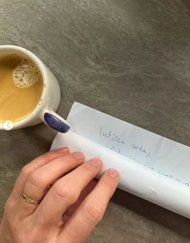 scrisoare radu valcan adela popescu