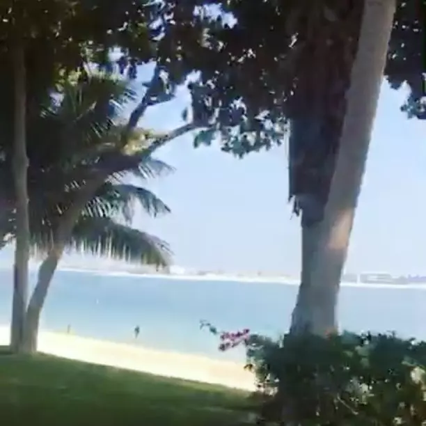 15538798_1205759592812323_8825278634949345280_n