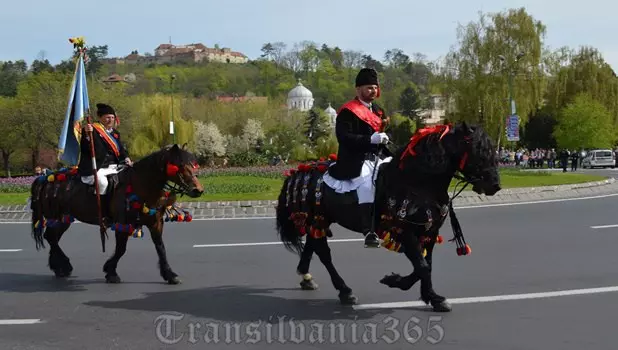 Junii Brașovului 2018 (11)