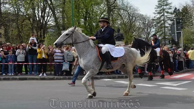 Junii Brașovului 2018 (3)