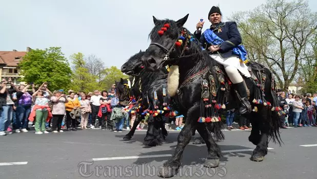 Junii Brașovului 2018 (4)