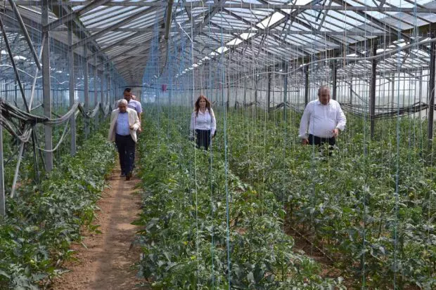 18519864_1542710202456940_2436983020308374803_n-620x413