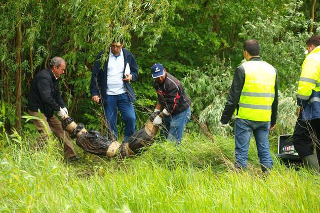 Cadavrul unei asiatice a fost găsit în pădurea din Otopeni