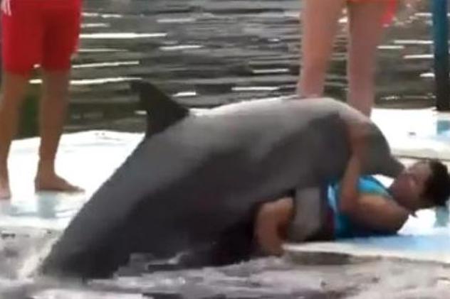 Asta e cea mai tare partidă de SEX pe care o puteai vedea! Un delfin dă gata o tânără! | VIDEO INCREDIBIL
