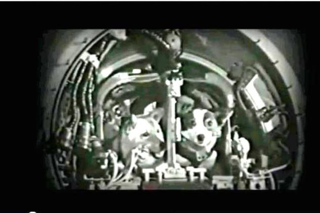 URSS, lansează misiunea spaţială Sputnik 5