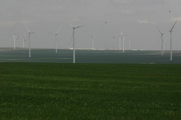 Olanda vrea să investească un miliard de euro într-un proiect energetic eolian din România. Fermă eoliană pe un câmp verde