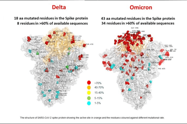 Prima imagine a variantei Omicron arată mai multe mutații decât la varianta Delta. Ce spun cercetătorii