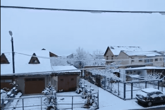 Opt localităţi din judeţul Caraş-Severin au rămas fără energie electrică după ninsorile de sâmbătă