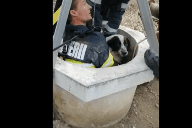VIDEO | Un cățel a fost salvat de pompierii prahoveni după ce a căzut într-o fântână adâncă de 25 de metri