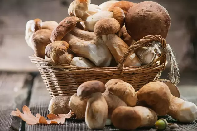 VIDEO Ciorba falsă de burtă din ciuperci pleurotus - cea mai bună rețetă