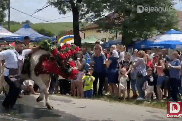 VIDEO | Momentul în care un bărbat a fost trântit la pământ de un bou, la un festival din Cluj